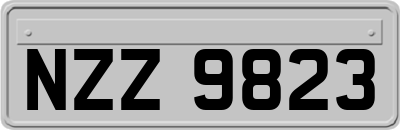 NZZ9823