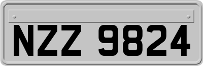 NZZ9824
