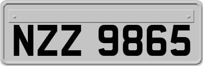 NZZ9865