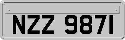 NZZ9871