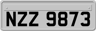 NZZ9873