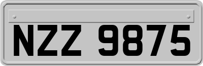 NZZ9875