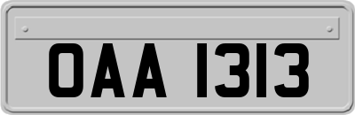 OAA1313