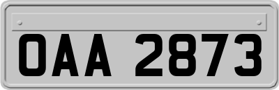 OAA2873