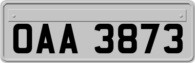 OAA3873
