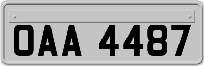 OAA4487