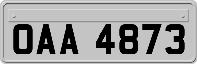 OAA4873