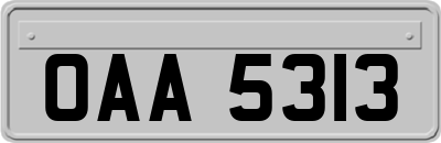 OAA5313