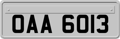 OAA6013