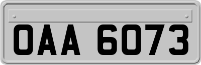 OAA6073
