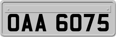 OAA6075