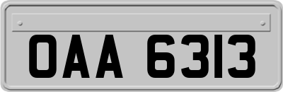 OAA6313