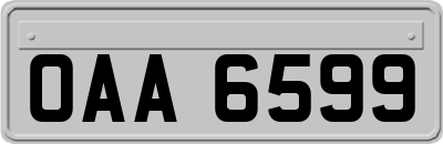 OAA6599
