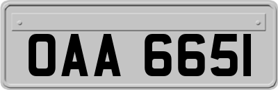 OAA6651