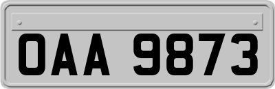 OAA9873