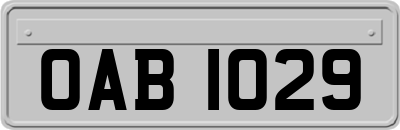 OAB1029