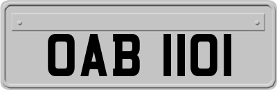 OAB1101