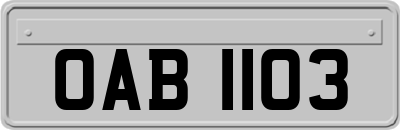OAB1103