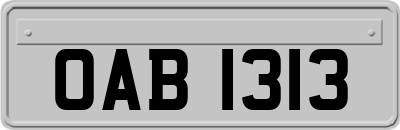 OAB1313