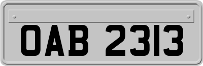 OAB2313