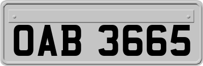 OAB3665