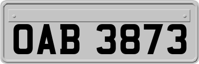 OAB3873
