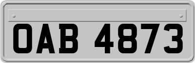OAB4873