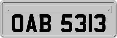 OAB5313