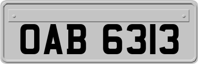 OAB6313