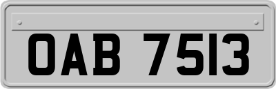 OAB7513