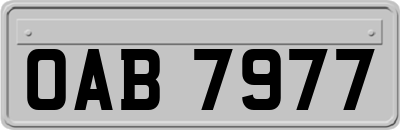 OAB7977