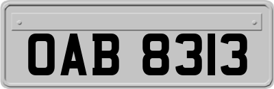 OAB8313