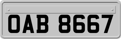 OAB8667