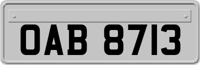 OAB8713