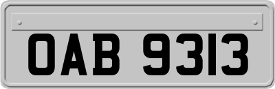 OAB9313