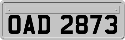 OAD2873