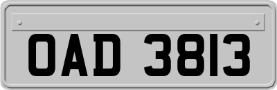 OAD3813