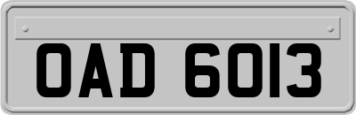 OAD6013