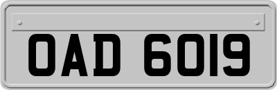 OAD6019