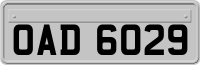 OAD6029