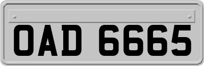 OAD6665