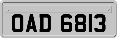 OAD6813