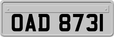 OAD8731