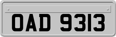 OAD9313