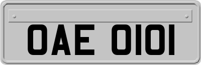 OAE0101