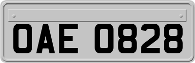 OAE0828
