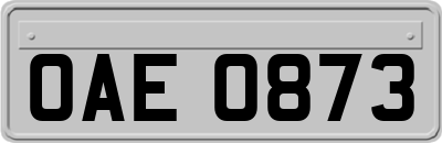 OAE0873