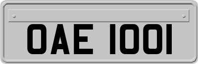 OAE1001