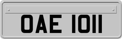 OAE1011