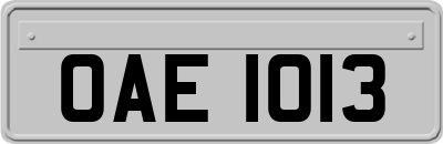 OAE1013